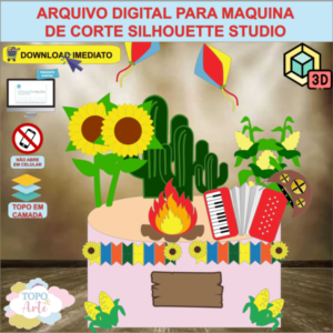 ARQUIVO de Corte Topo de Bolo Festa Junina com Sanfona 3D - 60