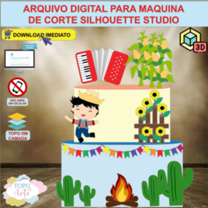 ARQUIVO de Corte Topo de Bolo Festa Junina Menino com Sanfona 3D - 91